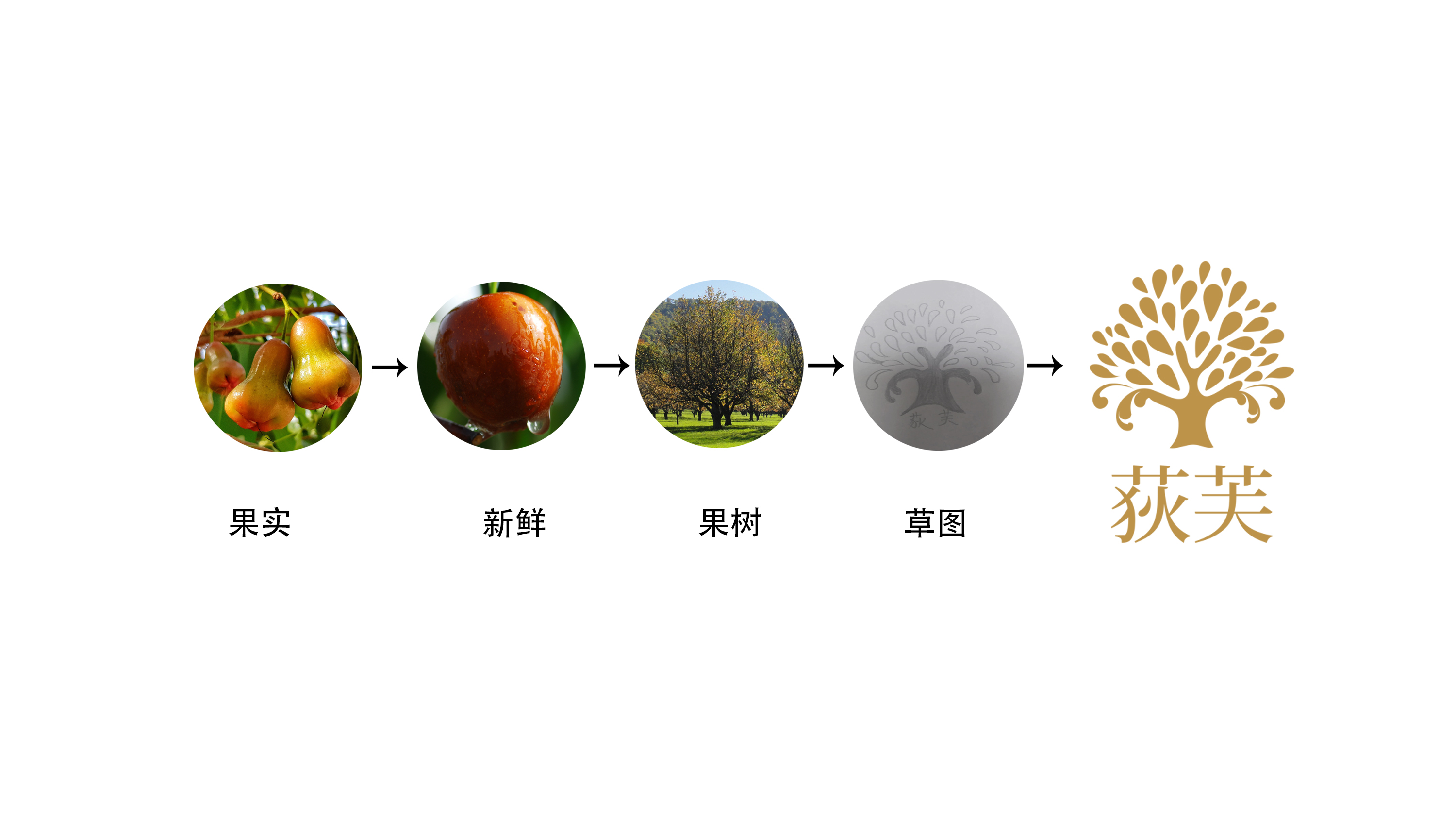 品牌標志設(shè)計